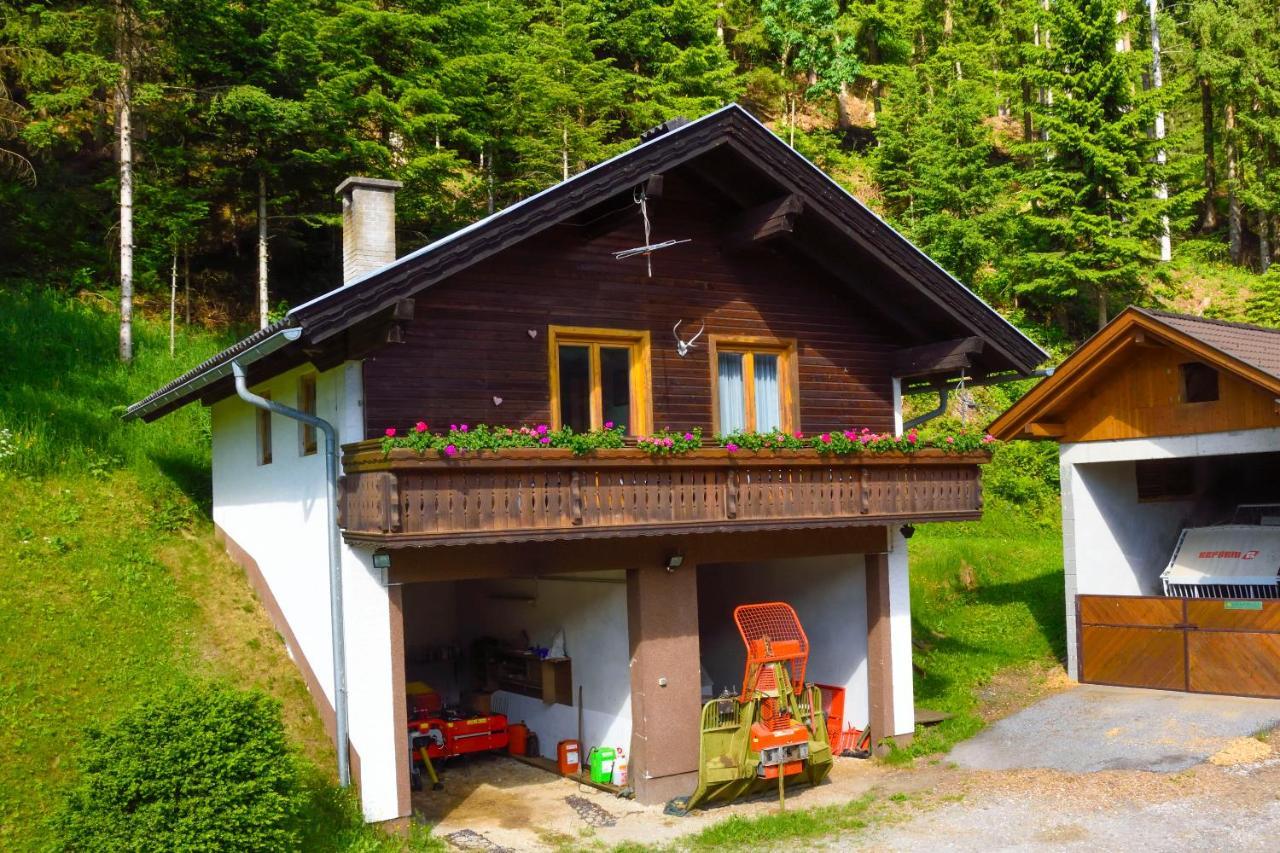 Gaestehaus Berger - Priglhof Treffen Exterior foto